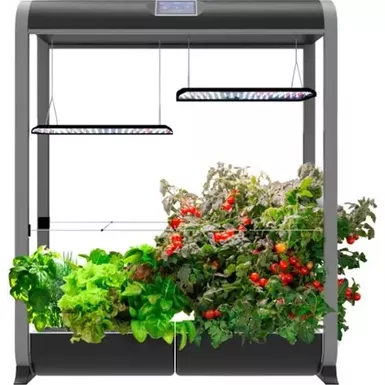 AeroGarden - Farm 24XL with Salad Bar Seed Pod Kit - Hydroponic Indoor Garden - Black
