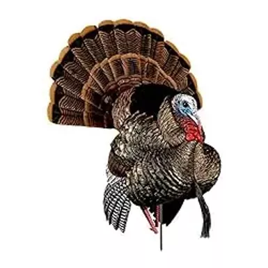 image of AVIAN-X HDR Strutter Turkey Decoy - Rugged Durable Realistic Lifelike Dominant Body Standing Hunting Decoy with 2 Removable Heads & Wings, Beard, Adjustable Tail Fan, Mounting Stake & Carry Bag with sku:b08rrxyy7d-amazon