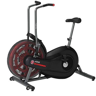 schwinn airdyne ad2