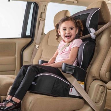 evenflo big kid lx booster car seat