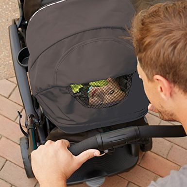 graco modes duo stroller holt