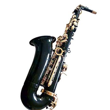 image of Flanger F-980 Black Nickel Plated Keys E Flat Professional Alto Saxophone with Tuner, Case, Mouthpiece with sku:b074l8shqq-fla-amz