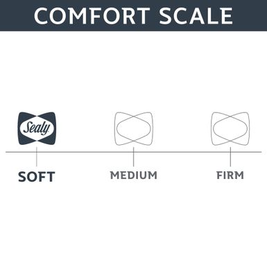 Sealy Down Alternative & Memory Foam Pillow - Standard