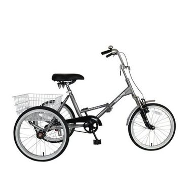 rent adult tricycle