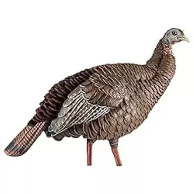 image of Avian-X HDR Hen Turkey Decoy ,  Durable Realistic Lifelike Standing Hunting Decoy with 2 Removable Heads, Carry Bag & Integrated Stake, AVX8106 with sku:b083y1556r-amazon