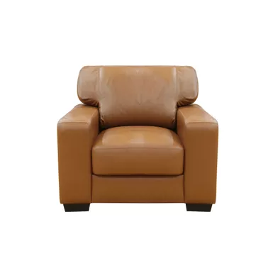 image of Bordeaux 41 in. Tan Leather Match Armchair with Large Track Arms with sku:50246-primo