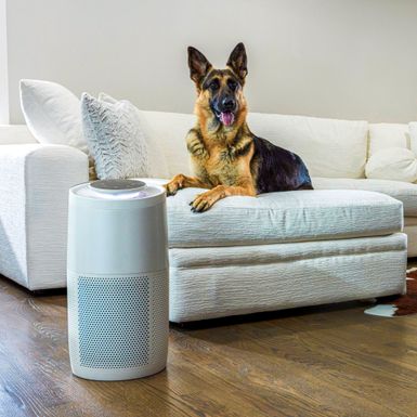 Alt View Zoom 12. Instant - HEPA Air Purifier for Large Rooms Removes 99.9% of Dust, Smoke, & Pollen with Plasma Ion Technology - Pearl