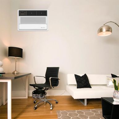 Friedrich 8000 BTU Thru-the-Wall Air Conditioner with Heater