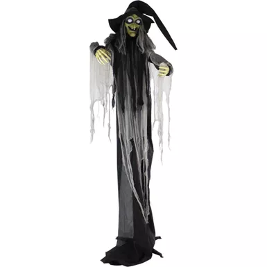 9.5-Ft. Animatronic Witch, Indoor or Covered Outdoor Halloween Decoration, Light-up White Eyes, Poseable, Battery-Operated