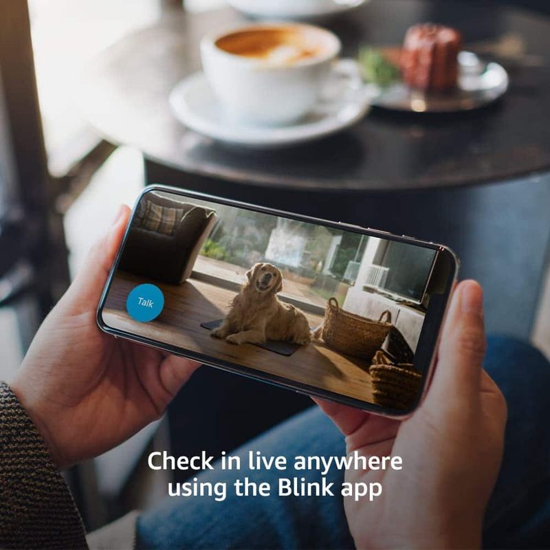 Blink - Mini Indoor 1080p Wireless Security Camera (2-Pack) - Black