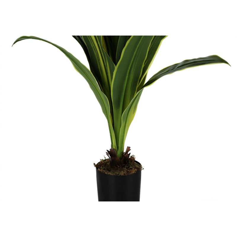 Artificial Plant - 47"H / Indoor Dracaena In A 5" Pot