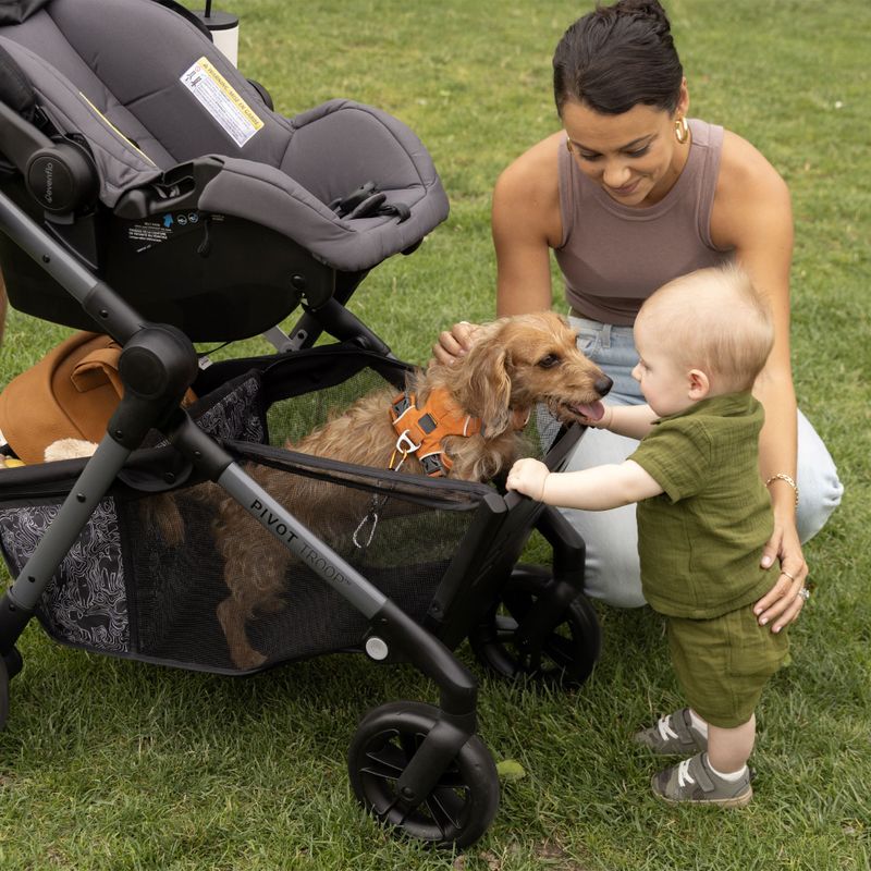 Pivot Troop Child & Pet Travel System w/ LiteMax Car Seat Moonstone Gray