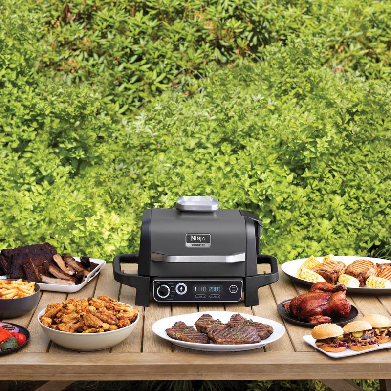 Ninja - Woodfire Outdoor Grill & Smoker, 7-in-1 Master Grill, BBQ Smoker, & Outdoor Air Fryer with Woodfire Technology - Grey