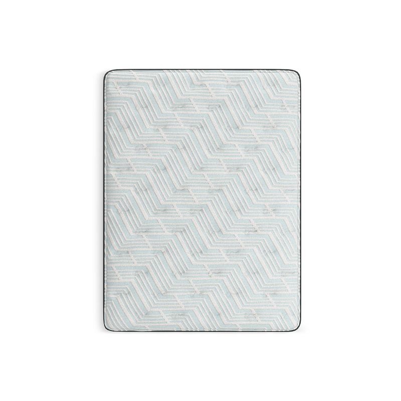 Palisades Plush Queen Mattress
