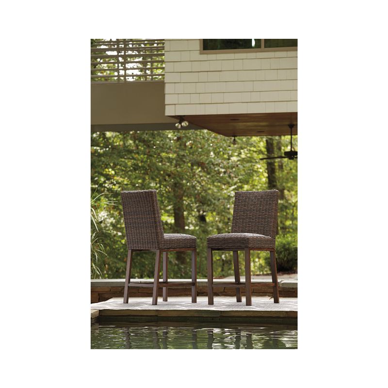 Paradise Trail Barstool (2/CN)