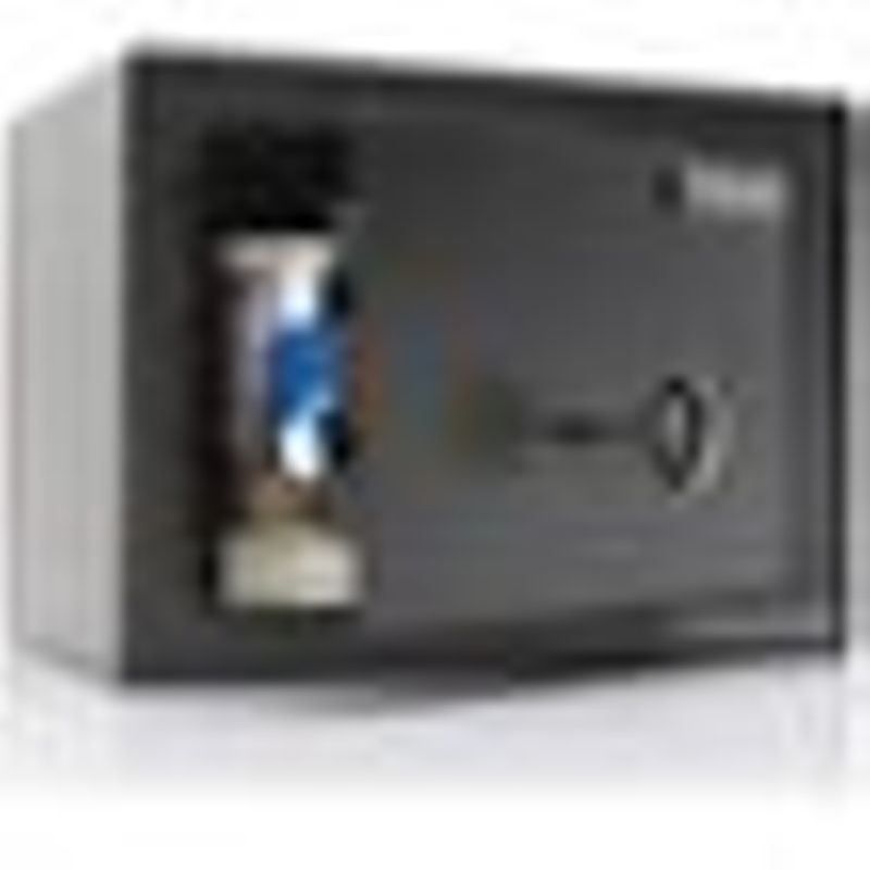 Honeywell - .19 Cu. Ft. Small Steel Safe with Key Lock - Black