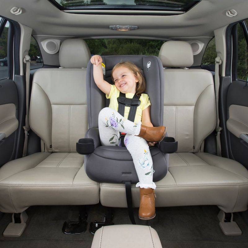 Jive 2-in-1 Convertible Car Seat Carbon Rose