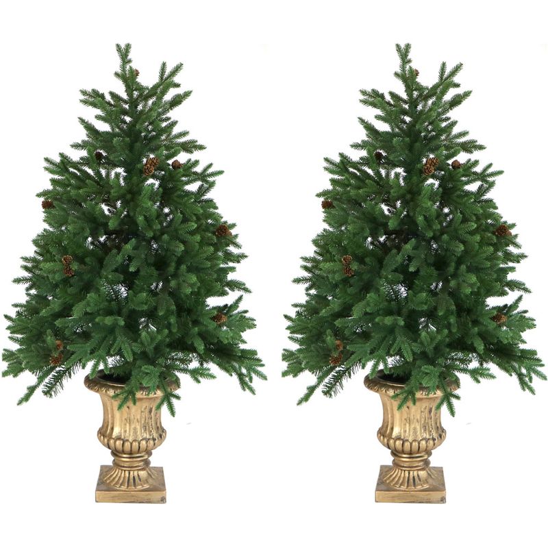 Fraser Hill Farm 4.8' Noble Fir Potted Tree - Multi LED Lights, Set of 2, Battery Box