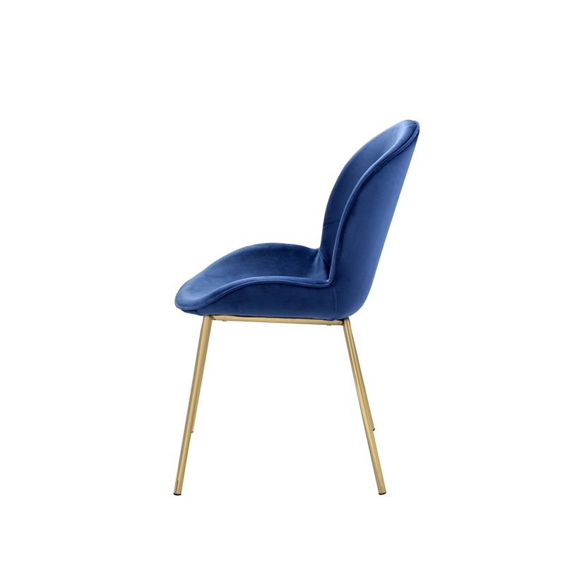 ACME Chuchip Side Chair (Set-2), Blue Velvet & Gold