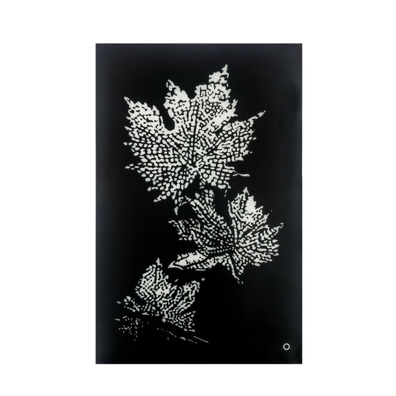 ACME Talisha Wall Art w/LED, Smoky Glass & Faux Crystal