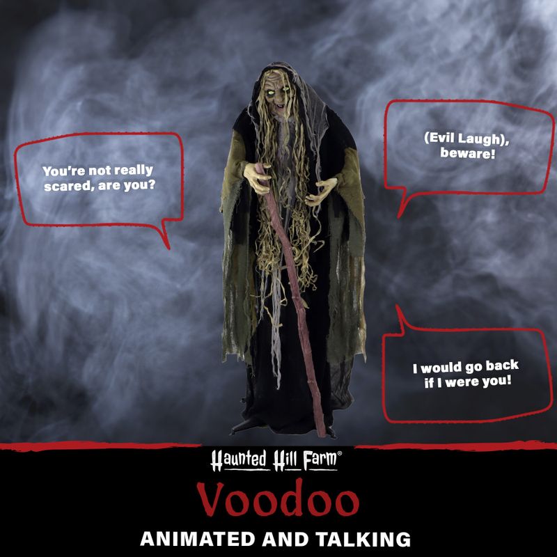 Life-Size Poseable Swamp Witch with Lights and Sound, Indoor/Covered Outdoor Halloween Decoration