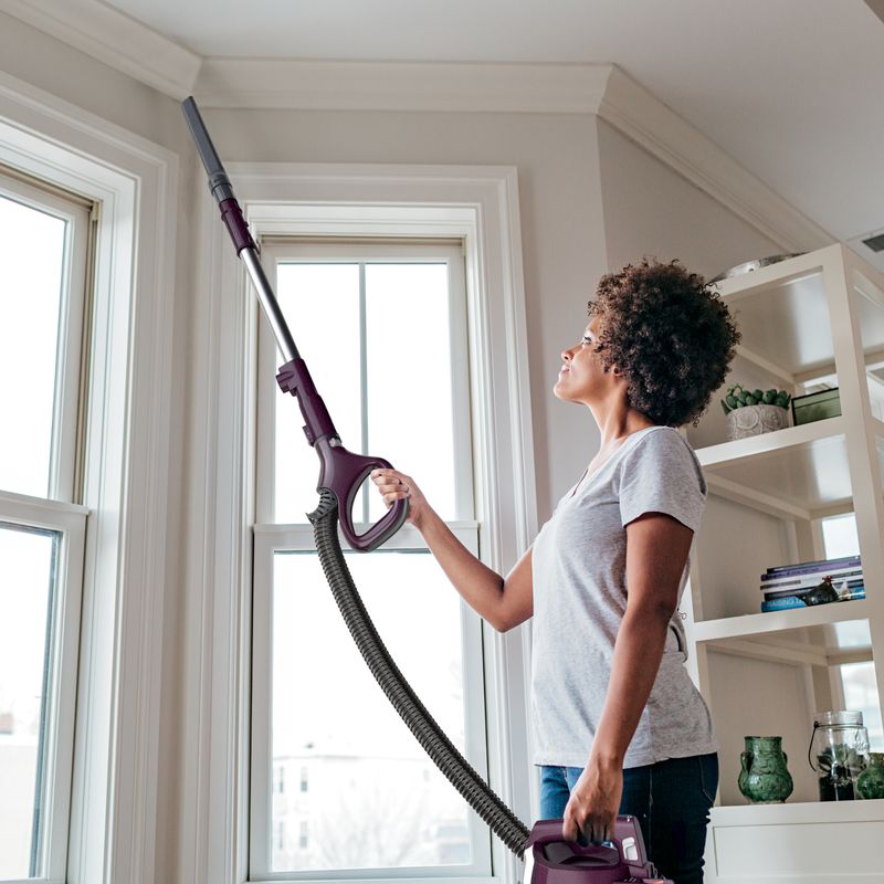 Shark - Navigator Upright w/ Self-Cleaning Brushroll