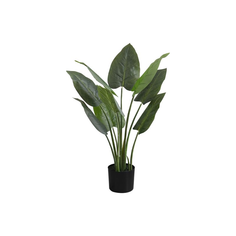 Artificial Plant - 37"H / Indoor Aureum In A 6" Pot