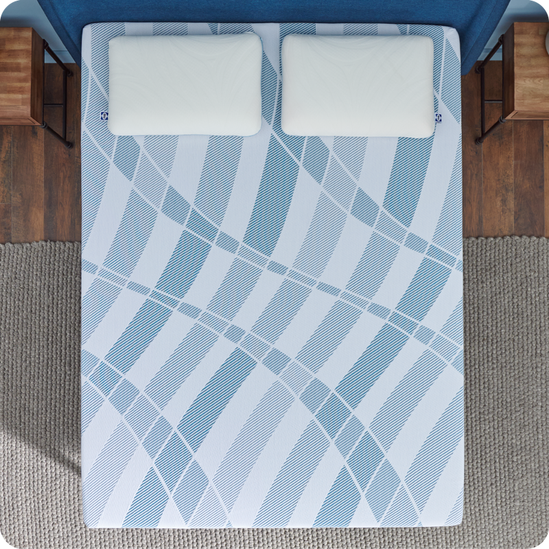 Sealy&reg; Dreamlife&trade; 12" Foam Mattress-in-a-Box, King