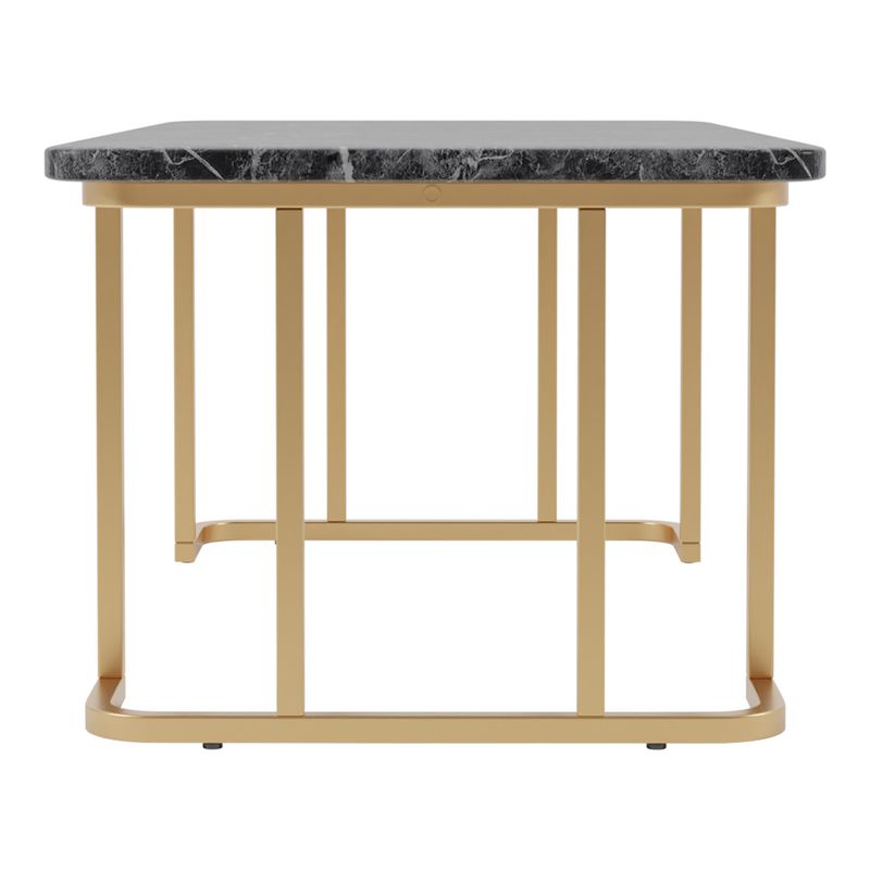 Contemporary Metal Coffee Table in Gold/Black