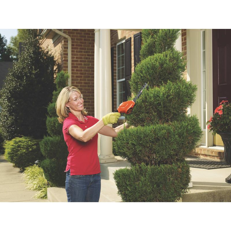 Black & Decker - 3.6V Lithium 2-in-1 Garden Shear Combo