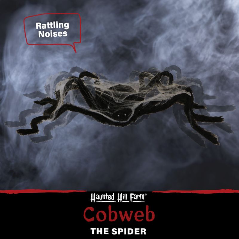 2.5-ft. Spider with Web, Indoor/Covered Outdoor Halloween Decoration, LED Red Eyes, Poseable, Battery-Operated, Cobweb