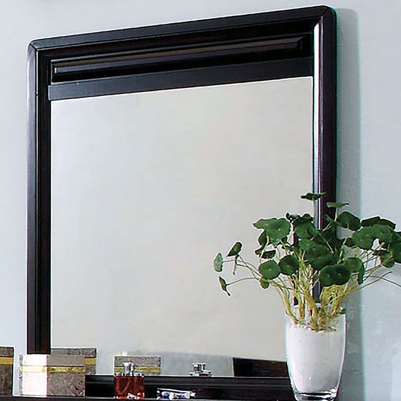 Transitional Mirror in Espresso