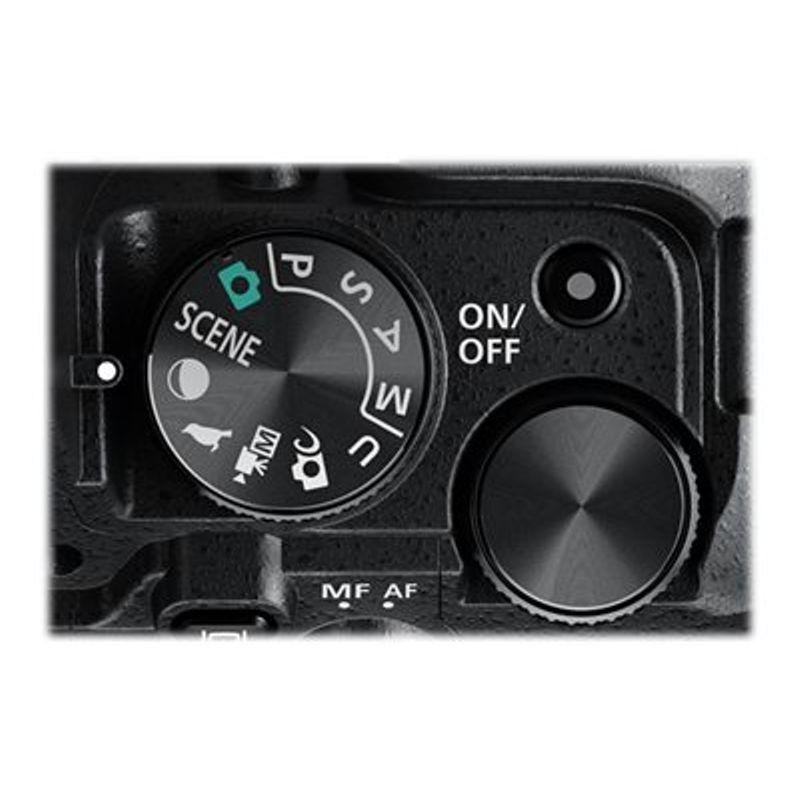 Nikon - Coolpix P950 16.0-Megapixel Digital Camera - Black