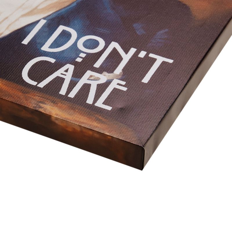 I Don't Care/Multi Grumpy Cats I Don't Care Canvas Wall Art See below