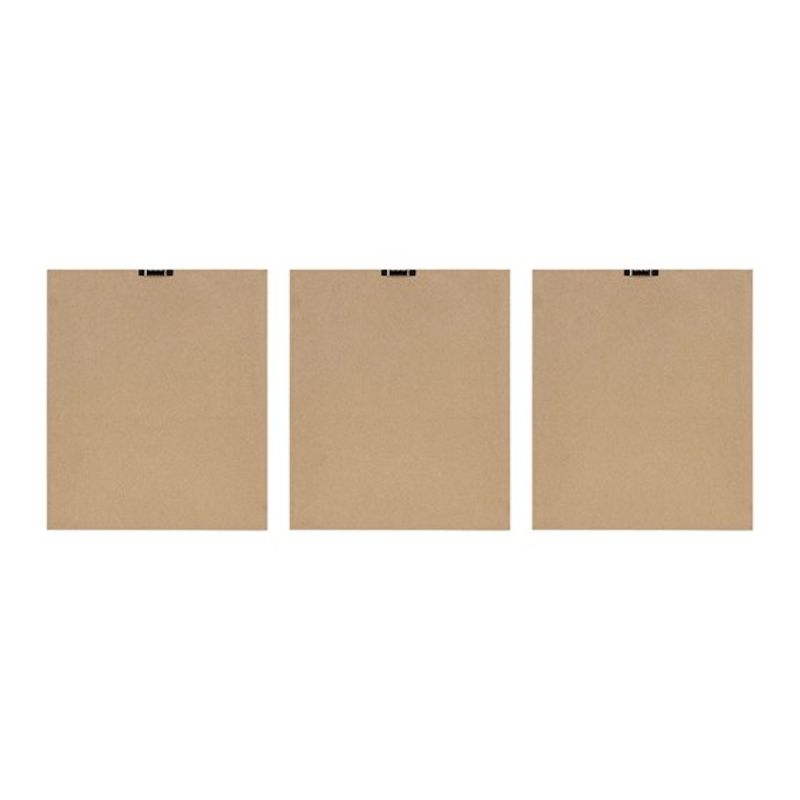 Fair Florets 3-piece Framed Glass Wall Art Set