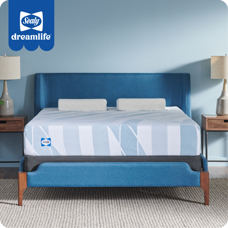 Sealy&reg; Dreamlife&trade; 10" Foam Mattress-in-a-Box, King