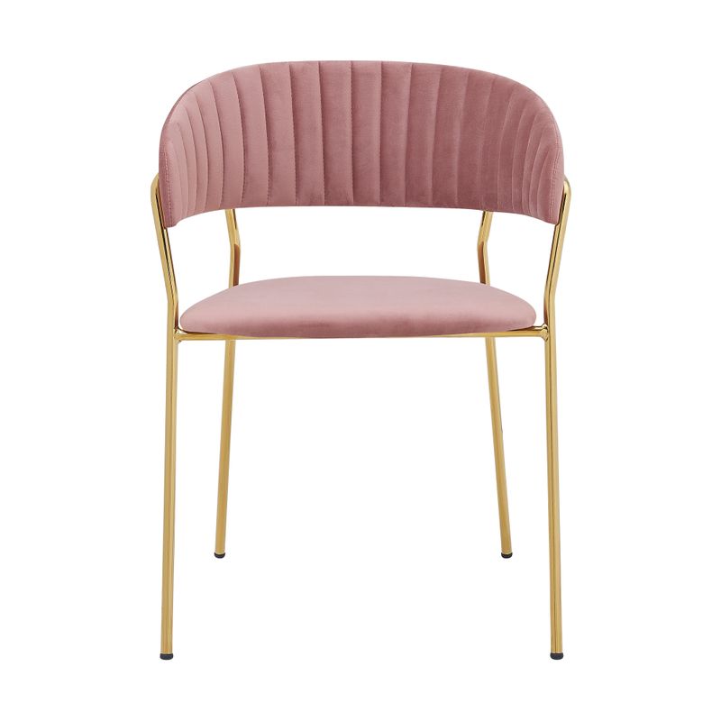 Nara Modern Pink Velvet and Gold Metal Leg Dining Room Chairs - Set of 2