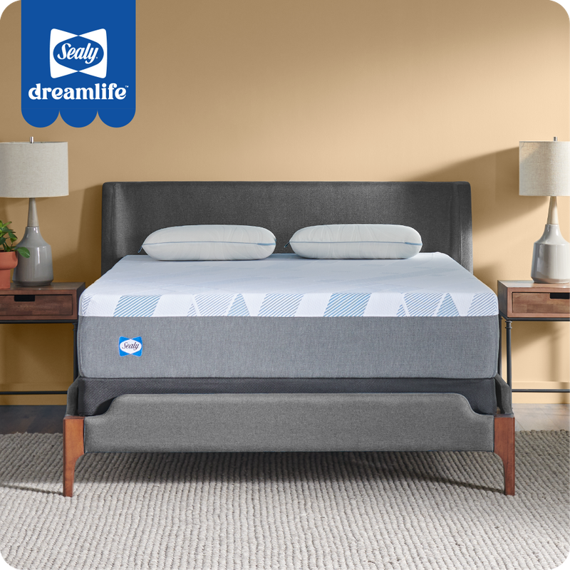 Sealy&reg; Dreamlife&trade; 12" Foam Mattress-in-a-Box, King