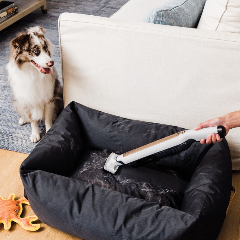 Shark - Wandvac Self-Empty Ultra Lightweight Cordless Vac System