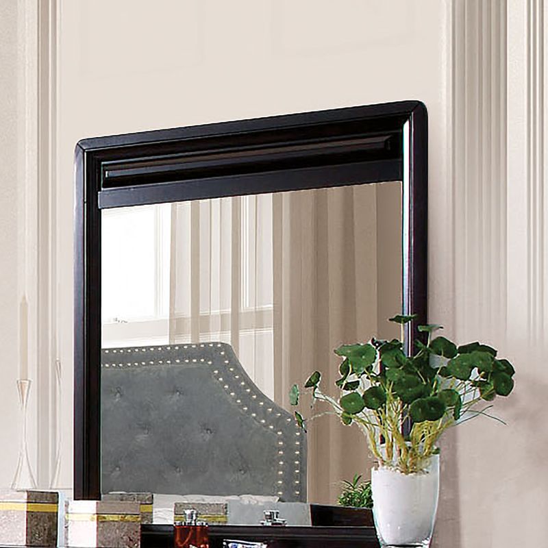 Transitional Mirror in Espresso