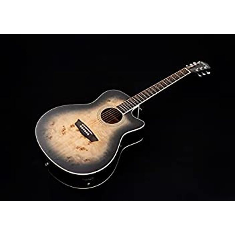 Rent to own Washburn Deep Forest Burl 6 String AcousticElectric Guitar