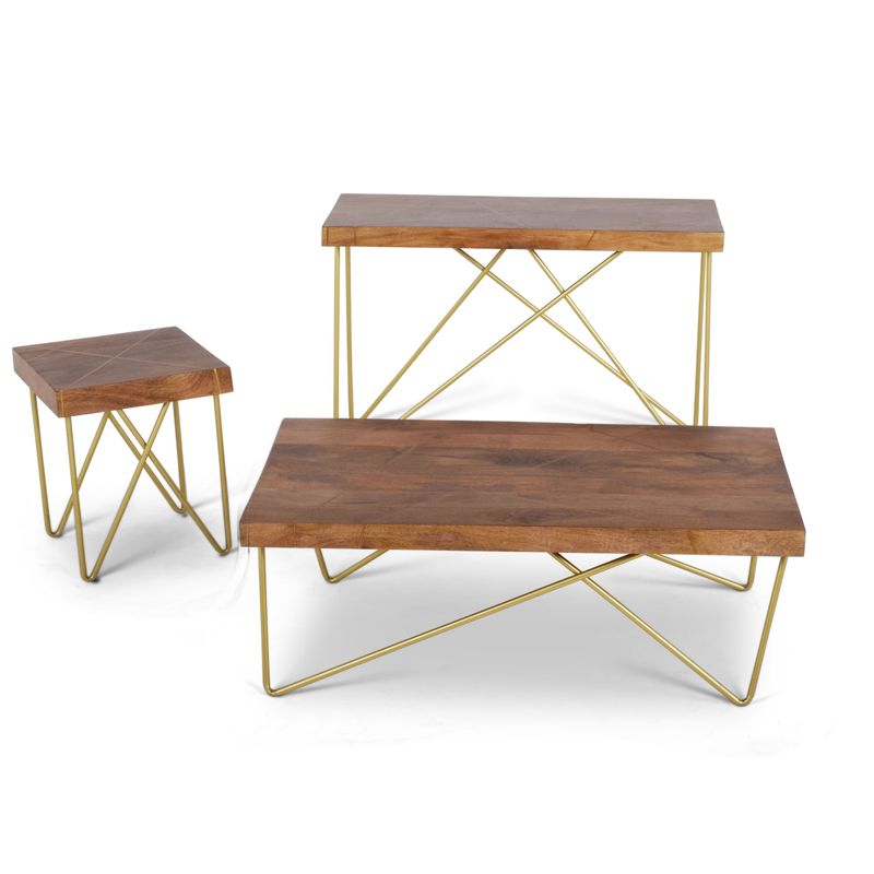 Solid Mango Wood with Brass Inlay Coffee Table  by Greyson Living - Coffee Table
