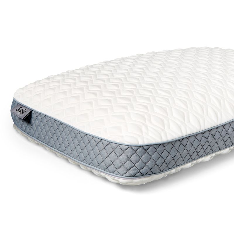 Sealy Memory Foam Bed Pillow - Standard