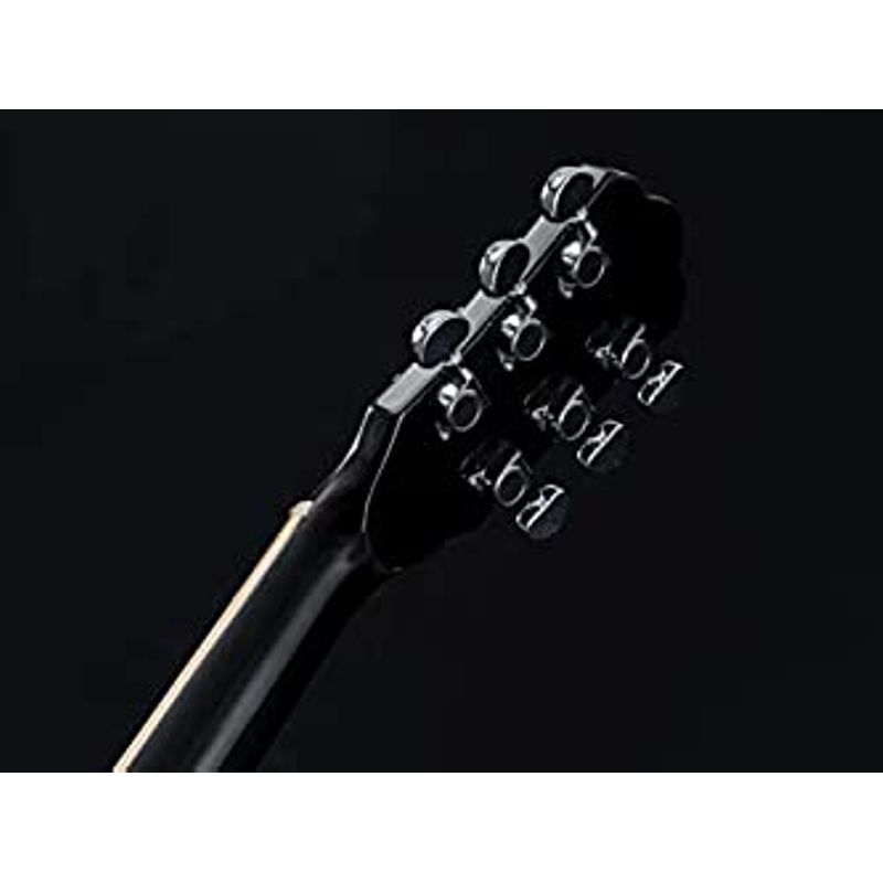 Rent to own Washburn Deep Forest Burl 6 String AcousticElectric Guitar