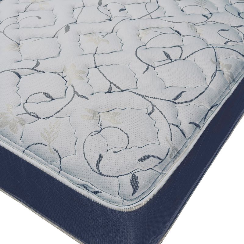 Wolf Sleep Accents Renewal 10-inch Queen-size Mattress - Queen size mattress