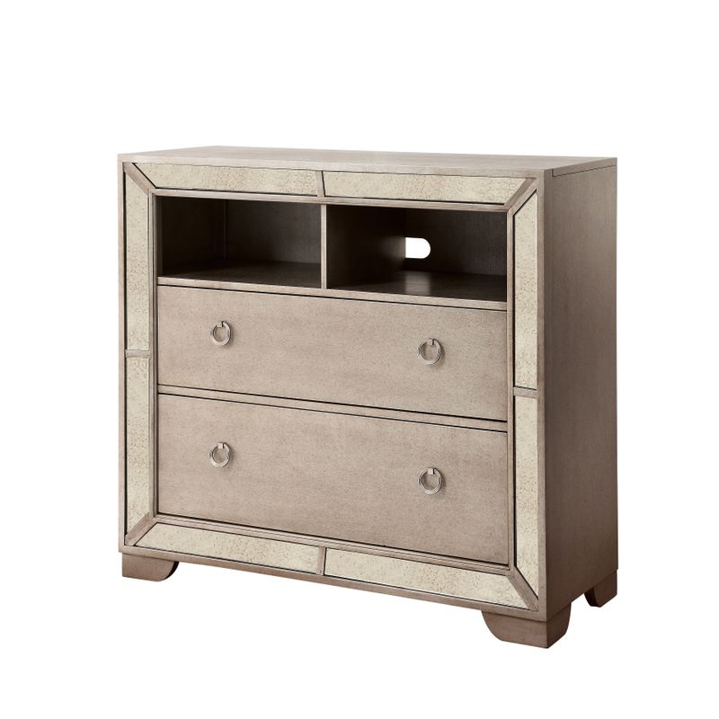 Furniture of America Gevi Modern 46-inch Silver Solid Wood Media Chest - Silver
