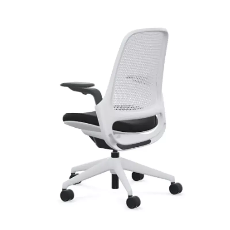 Steelcase - Series 1 Air Chair with Seagull Frame - Era Onyx / Seagull Frame