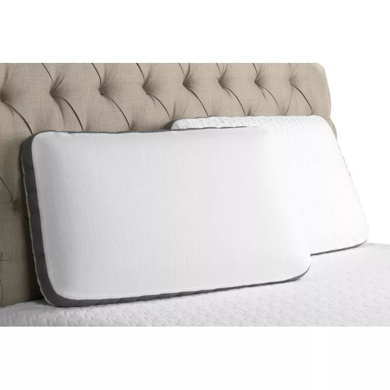 FlexSleep Bamboo Charcoal Foam and Cooling Gel Queen Pillow