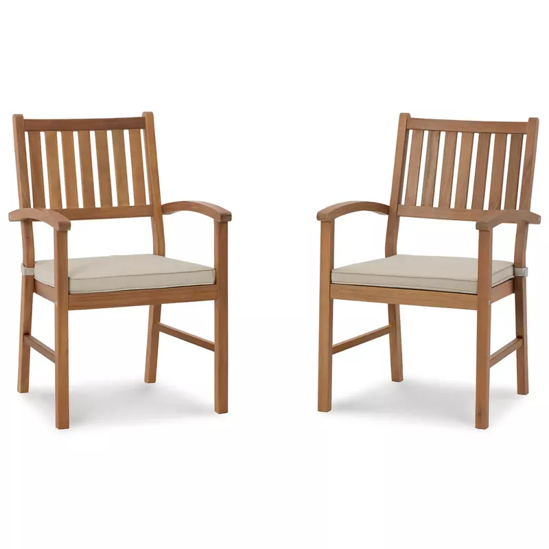 Janiyah Outdoor Dining Arm Chair (Set of 2)