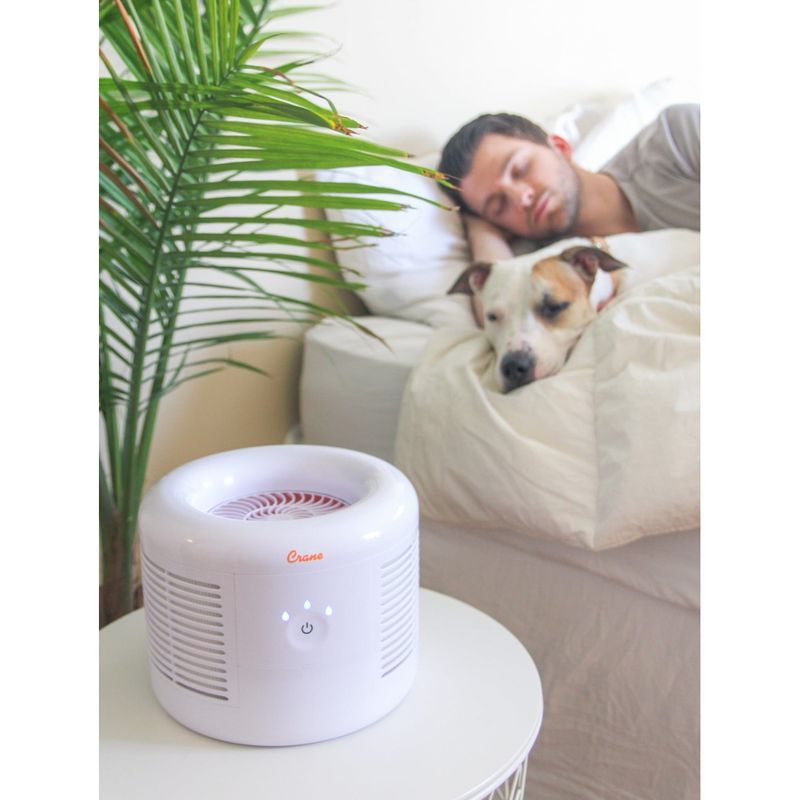 Crane HEPA Air Purifier with 3 Speed Settings for Rooms up to 300 sq. ft. - White